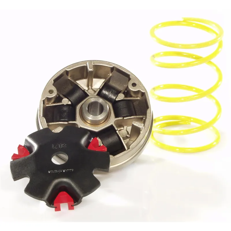 Variator Malossi Multivar für Baotian Eco Bike, Peugeot V-Clic 50ccm 4-Takt, Gegendruckfeder weiß , Gewichte 16x13mm - 7,00 Sale