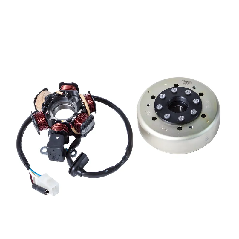 Heißes Angebot Lichtmaschine und Polrad komplett für Peugeot liegend 50ccm 2T RMS