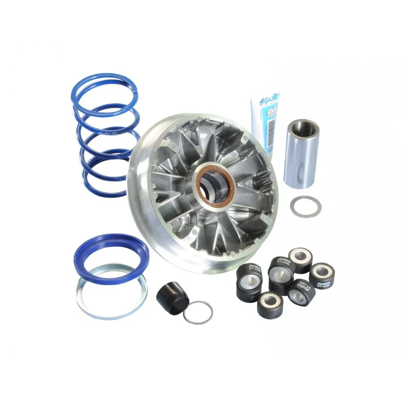Direktkauf Variator Polini Hi-Speed für Yamaha Majesty 400, X-Max 400 ab 2013