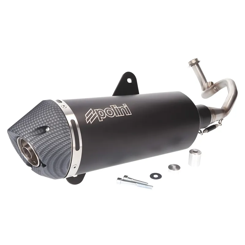 Sofort Bestellen Auspuffanlage Polini mit Zulassung für Vespa GTS 125, GTV 125 Euro4 2016-
