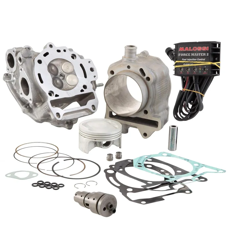 Neue Ware Zylinderkit Malossi Power Cam 218ccm 75,5mm für Aprilia SR Max, Nexus, Piaggio, Vespa 125ie 4T 4V Euro3