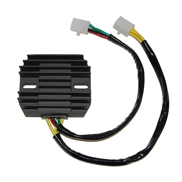 ElectroSport Laderegler ESR 160 Saisonangebot