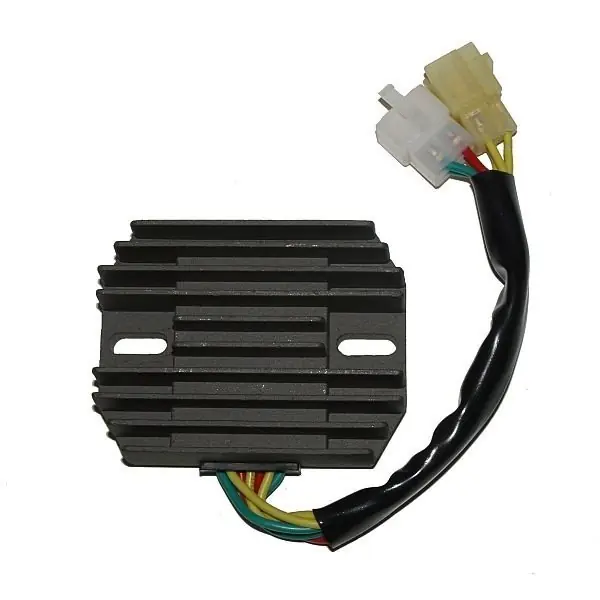 ElectroSport Laderegler ESR 537 Sichere Zahlung