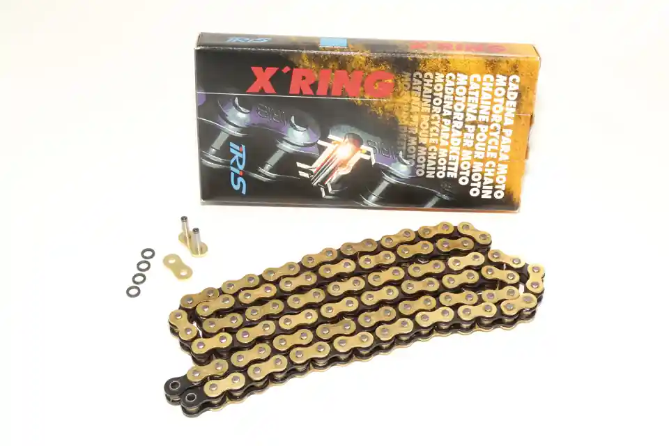 Markenware Iris Kette 525XR G&B 100 Glieder in gold / schwarz
