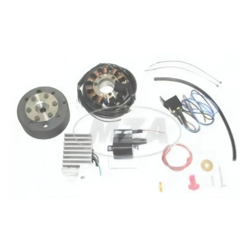 MZ Lichtmagnetzündanlage 12V 100W mit integrierter vollelektronischer Zündung für ES125, 150, ETS125, 150, TS125, 150 Sonderaktion