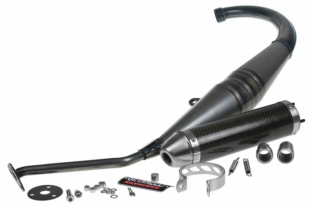 Auspuffanlage Giannelli Strada mit Zulassung, Carbon für Aprilia RS 50 99-05 / Tuono 50 03-07 Rabatt
