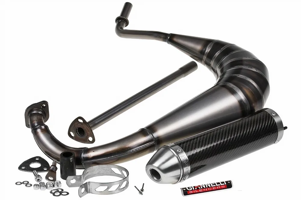 Auspuffanlage Giannelli Strada mit Zulassung, Carbon für Aprilia RS 50 06- / Derbi GPR 50 04-08 Expressversand