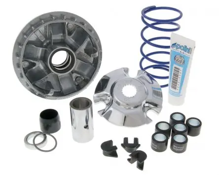 Variomatik Polini Maxi Hi-Speed für Suzuki Burgman 125-150 Geprüft