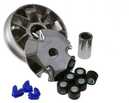 Variomatik POLINI Hi-Speed kompatibel für Honda Dio ZX, SYM Jet, Red Devil, Mask Kymco, MXU, MXer 50 Zertifiziert