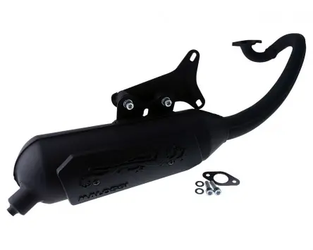 Auspuff MALOSSI Wild Lion kompatibel für MBK Ovetto, Yamaha Neos, Why 50 Top-Preis