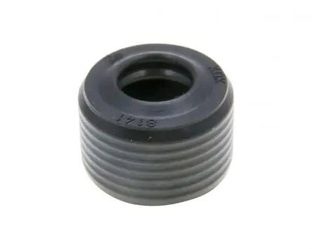 Wellendichtring Wasserpumpe KOK 8x16x10/11 kompatibel für Piaggio 2T LC 50-180ccm Sonderangebot
