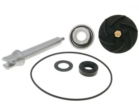 Jetzt Bestellen Reparaturkit Wasserpumpe für Piaggio 400, 500ccm 2006-