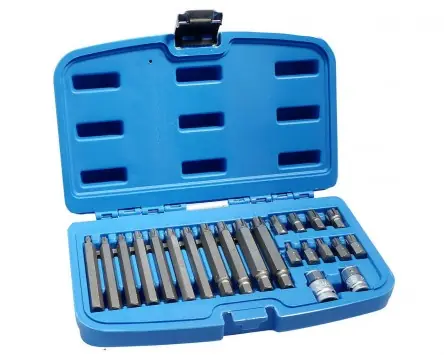 Highlight Bitsatz BGS Ribe 22-teilig Set Universal Werkstatt Bits Steckschlüssel Zylinderkopf VAG VW Audi
