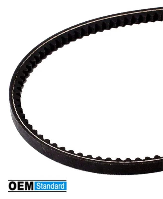 Neue Kollektion Keilriemen Mono gezahnt 9,7 x 960 mm Zahnriemen Ciao Bravo