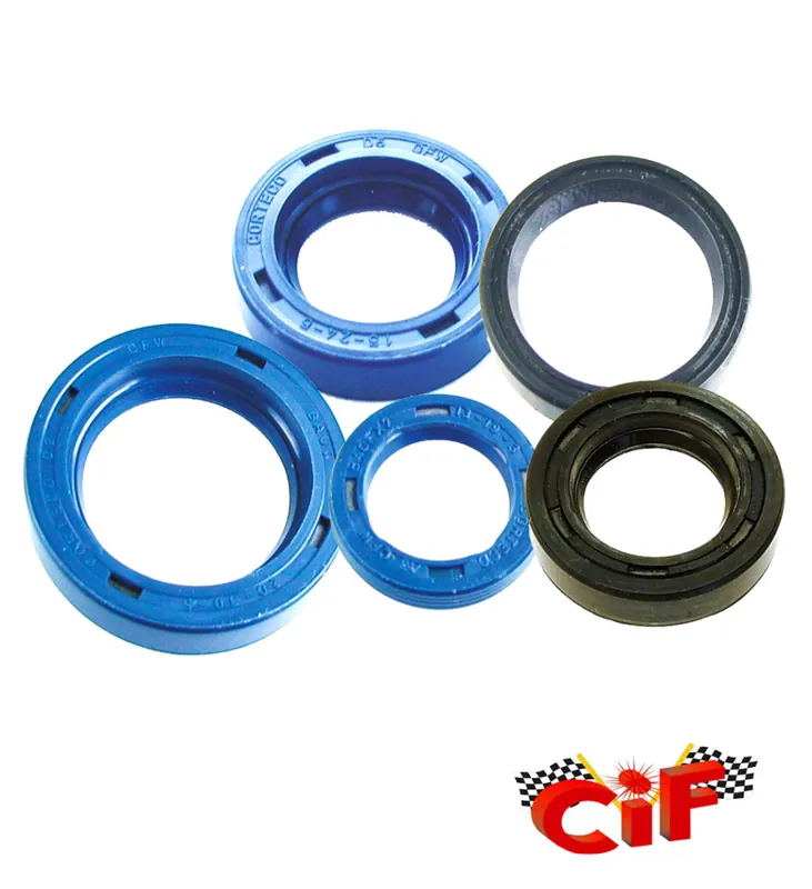 Simmerringsatz Simmerringe Wellendichtring Motor vario Getriebe -CIF- Billig