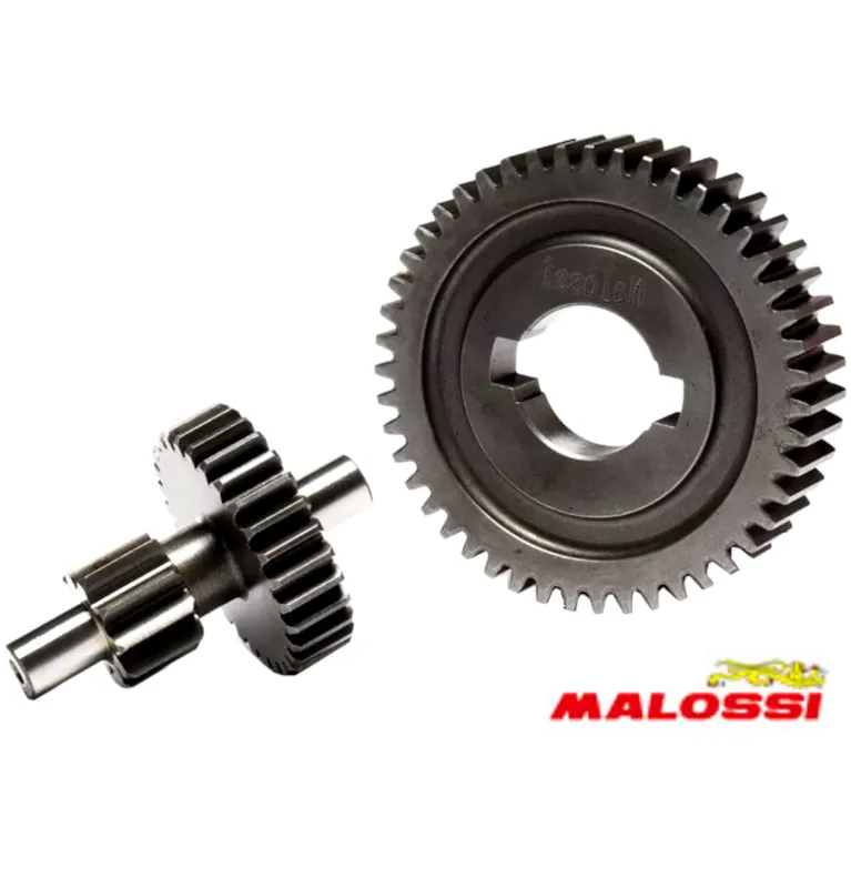 Getriebe Sekundärgetriebe 1 11,4 Z11 / Z46 Vario Ciao, Zahnrad -Polini- Sonderangebot